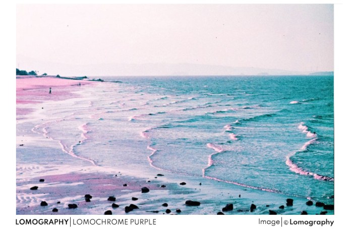 LOMO PURPLE
